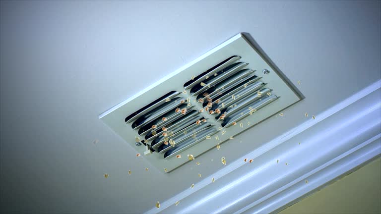 Best Commercial Air Duct Cleaning  in Del Mar, CA